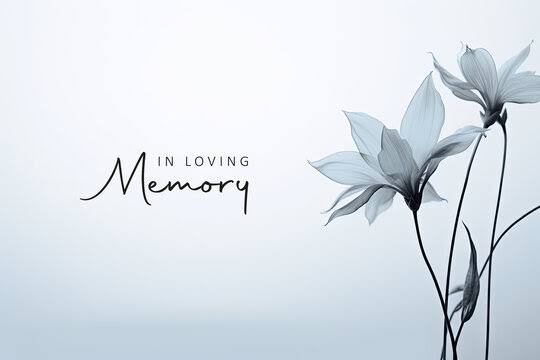 Paula Dixon Obituary, Cause of Death – South Carolina Community Remembers a Cherished Friend and Family Member